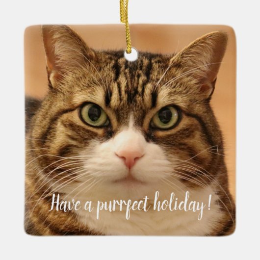 Gepersonaliseerde Kat Pet Memorial Vakantie Keramisch Ornament (Voorkant)