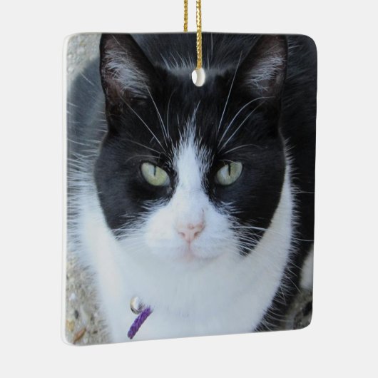 Gepersonaliseerde kattenfoto met naam en jaar keramisch ornament (Rechts)