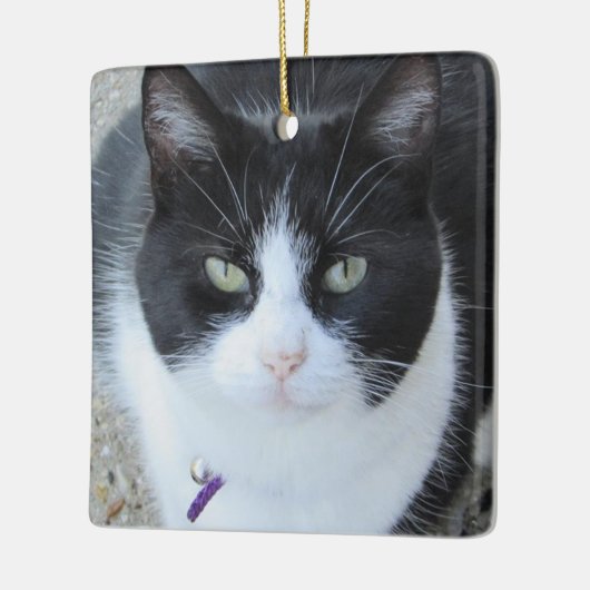 Gepersonaliseerde kattenfoto met naam en jaar keramisch ornament (Links)
