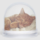 Gepersonaliseerde kattenfoto's Keepsake Snow Werel Sneeuwbol (Voorkant)