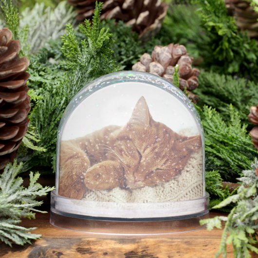 Gepersonaliseerde kattenfoto's Keepsake Snow Werel Sneeuwbol (Winter)
