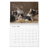 Gepersonaliseerde kattenliefhebbers 2026 Foto Kalender (Jan 2026)
