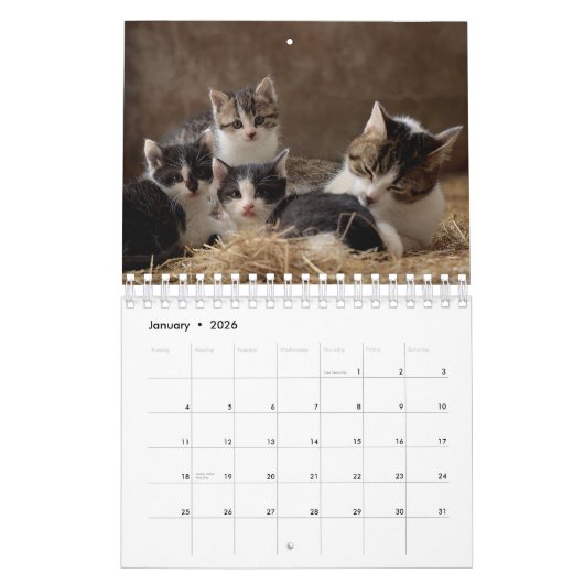 Gepersonaliseerde kattenliefhebbers 2026 Foto Kalender (Jan 2026)