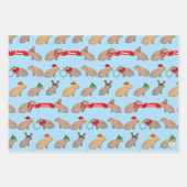 Gepersonaliseerde kerst Capybara Schattige Wildlif Inpakpapier Vel (Voorkant 3)