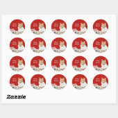 Gepersonaliseerde kerst kat Stickers (Vel)