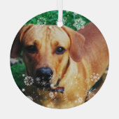 Gepersonaliseerde kerstboomversiering met fotoglas glas ornament (Achterkant)