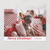Gepersonaliseerde kerstfeestelijke bulledog Puppy Briefkaart (Voorkant)