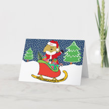 Gepersonaliseerde kerstguldenDoodle Santa Sleigh