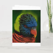 Gepersonaliseerde Kerstkaart - Lorikeet Feestdagen Kaart (Achterkant)