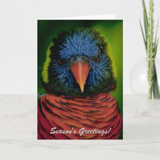 Gepersonaliseerde Kerstkaart - Lorikeet Feestdagen Kaart (Voorkant)