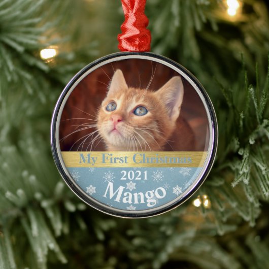 Gepersonaliseerde Kitten's eerste kerstfoto-metaal Metalen Ornament (Boom)