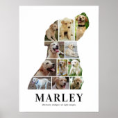 Gepersonaliseerde Labrador Fotocollage Poster (Voorkant)