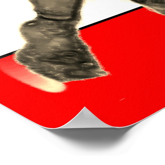 Gepersonaliseerde lacrosse poster (Hoek)