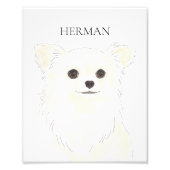 Gepersonaliseerde langgehaaste witte crème Chihuah Foto Afdruk (Voorkant)