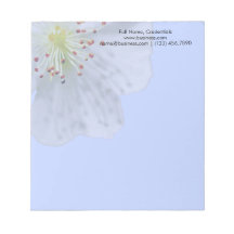 Gepersonaliseerde Lente Witte Bloem op Lichtblauw