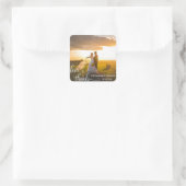 Gepersonaliseerde LIEFDE & BEDANKT Wit Script | FO Vierkante Sticker (Tas)