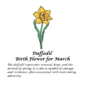 Gepersonaliseerde Maart Geboorte Bloem Daffodil 16 Thermosbeker