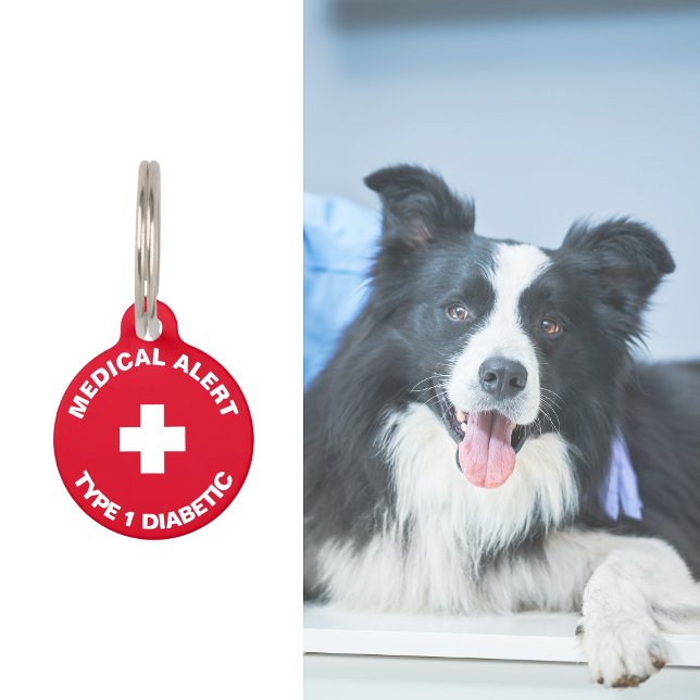 Gepersonaliseerde medische waarschuwing Diabetisch Huisdierpenning (Personalised Medical Alert Diabetic Red Pet Tag
)