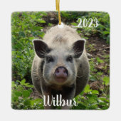 Gepersonaliseerde Mini Juliana Huisdier Varken #2 Keramisch Ornament (Voorkant)