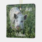 Gepersonaliseerde Mini Juliana Pet Pig Keramisch Ornament (Links)