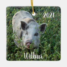 Gepersonaliseerde Mini Juliana Pet Pig Keramisch Ornament