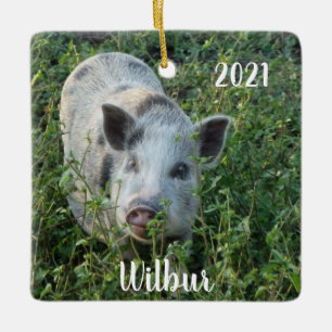 Gepersonaliseerde Mini Juliana Pet Pig Keramisch Ornament