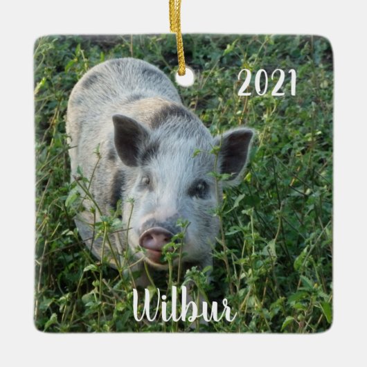 Gepersonaliseerde Mini Juliana Pet Pig Keramisch Ornament (Voorkant)