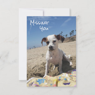 Gepersonaliseerde Missing You Dog Kaart
