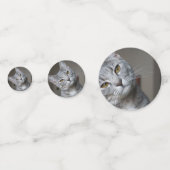 Gepersonaliseerde moderne kat foto confetti (Voorkanten)