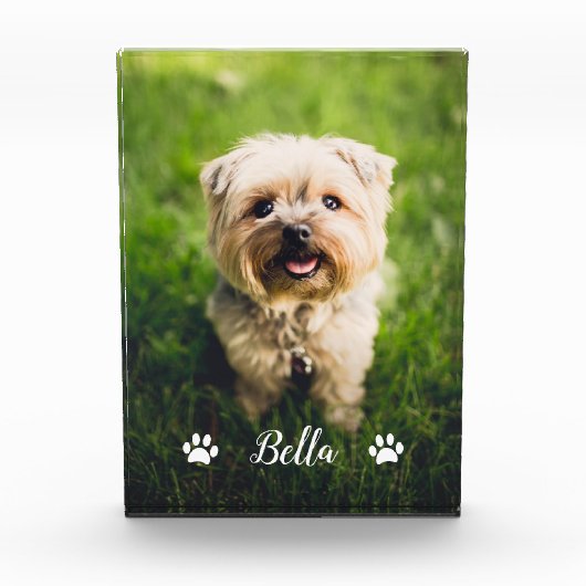 Gepersonaliseerde moderne script paw prints hond fotoblokken (Voorkant)