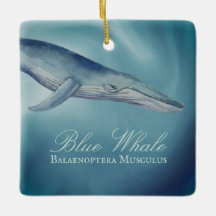 Gepersonaliseerde mooie blauwe kerst bij de walvis