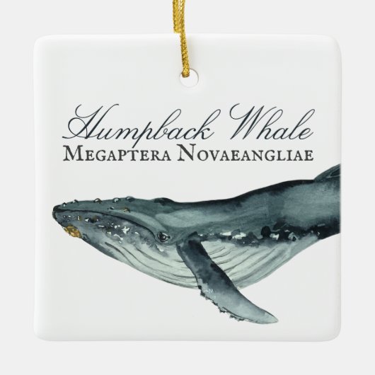 Gepersonaliseerde mooie kerst van de Humpback Whal Keramisch Ornament (Voorkant)