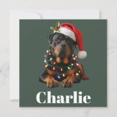 Gepersonaliseerde naam Custom Rottweiler Dog Chris Feestdagenkaart (Voorkant)