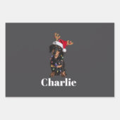 Gepersonaliseerde Naam Kerstdashond Hond Lichten Inpakpapier Vel (Voorkant)