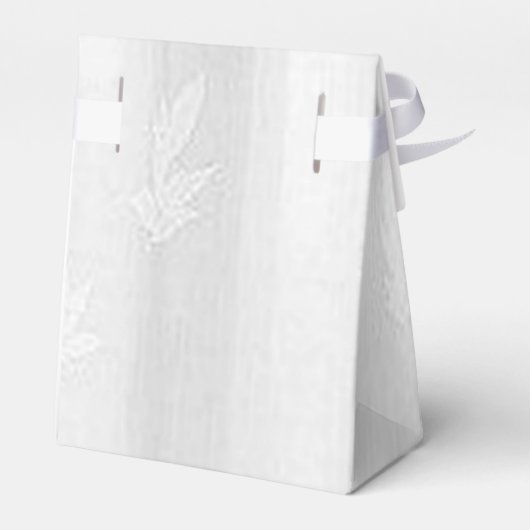 Gepersonaliseerde net getrouwde huwelijksreis auto bedankdoosjes (Achterkant)