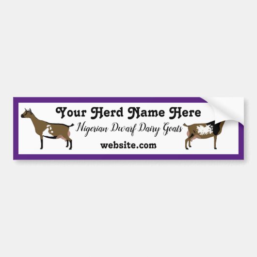 Gepersonaliseerde Nigeriaanse Dwarf Dairy Goat Bumpersticker (Voorkant)
