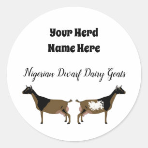 Gepersonaliseerde Nigeriaanse Dwarf Dairy Goat Sti Ronde Sticker