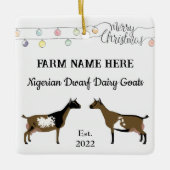 Gepersonaliseerde Nigeriaanse Dwarf Goat White Ker Keramisch Ornament (Voorkant)