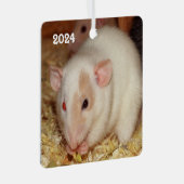 Gepersonaliseerde Odd Eye Beige Dumbo Fancy Pet Ra Metalen Ornament (Voorkant Rechts)