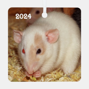 Gepersonaliseerde Odd Eye Beige Dumbo Fancy Pet Ra Metalen Ornament