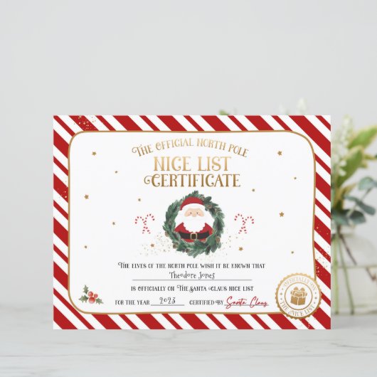 Gepersonaliseerde officiële Nice lijst certificaat (Staand voorkant)