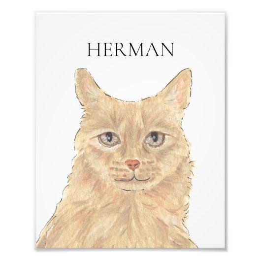 Gepersonaliseerde Oranje Maine Coon Art Foto Afdruk (Voorkant)
