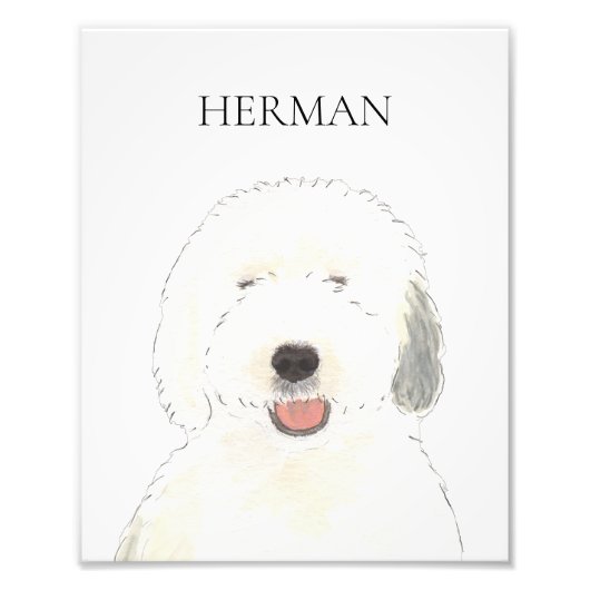 Gepersonaliseerde Oudengelse Sheepdog Art Foto Afdruk (Voorkant)