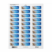 Gepersonaliseerde Owl het Etiketten van het Adres  (Full Sheet)