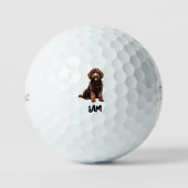 Gepersonaliseerde Pet Afbeelding Naam Titleist PRO Golfballen (Voorkant)