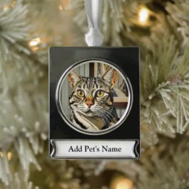 Gepersonaliseerde Pet Banner Ornament Verzilverd Banner Ornament