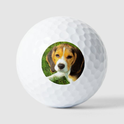 Gepersonaliseerde Pet Beagle Dog Foto Golfballen (Voorkant)