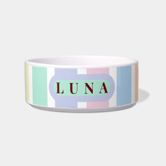 Gepersonaliseerde Pet Bowl met Naam Voerbakje