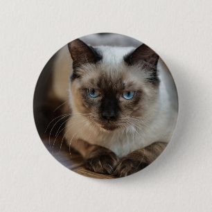 Gepersonaliseerde Pet Cat Afbeelding Voeg uw eigen Ronde Button 5,7 Cm