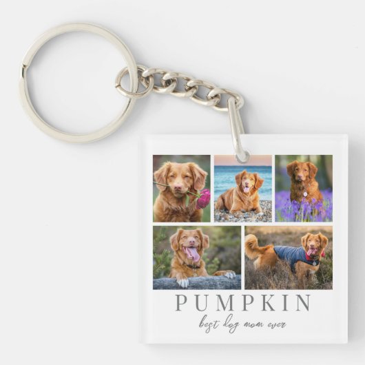 Gepersonaliseerde Pet Dog Photo Keepsake Sleutelhanger (Voorkant)